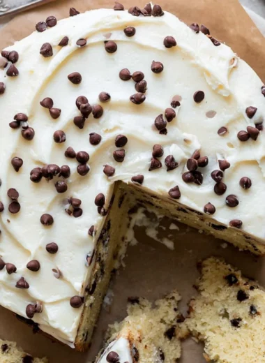 Delicious slice of chocolate chip cake topped with chocolate chips