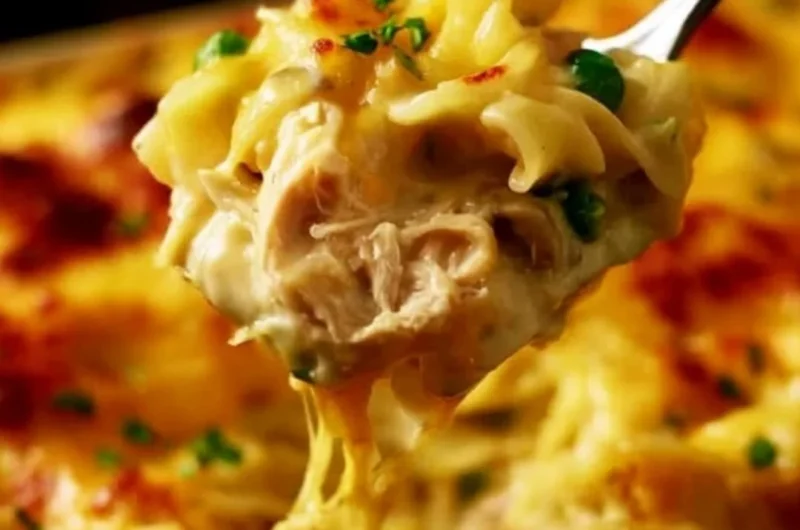 Pioneer Woman chicken noodle casserole served in a bowl